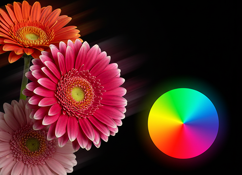 rgb 1